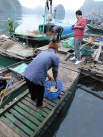weighing up some fish to buy to resell at market